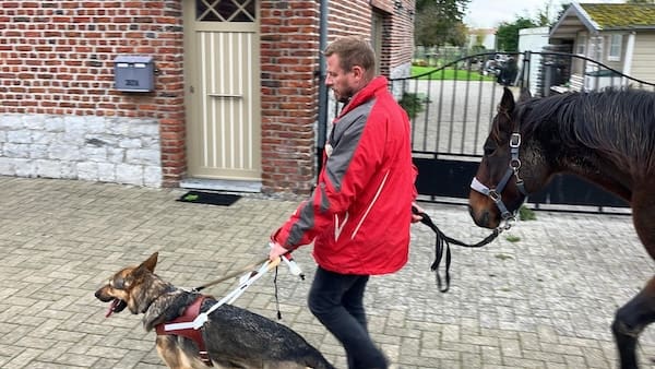 Remise chien-guide Wise à Vicnent - fondation I See