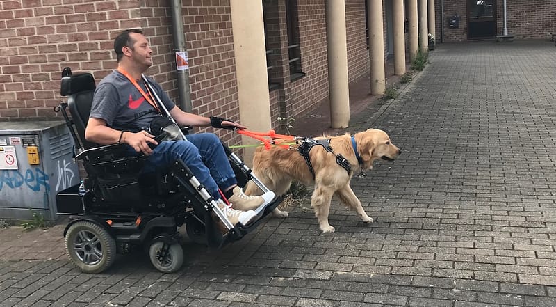 Remise Tokio à Bruno - Fondation I See