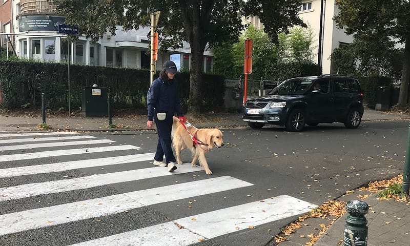 Remise Ujjayi à Sofia - Fondation I See