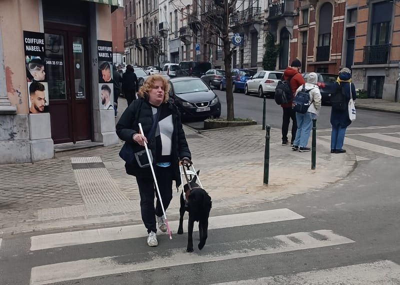 Remise Willow à Murielle - Fondation I See