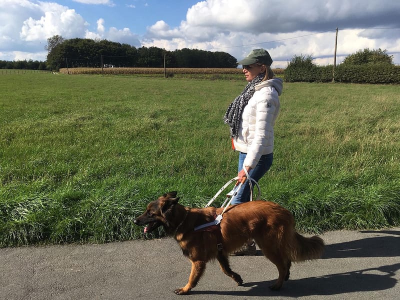 Remise Tuc à Sandrine - Fondation I See