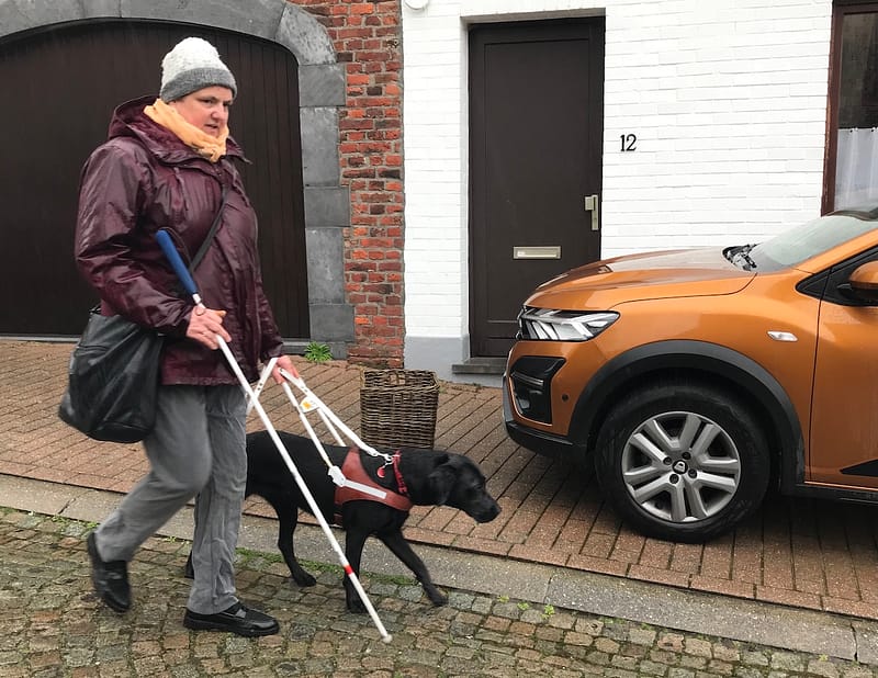 Remise Up à Sophie - Fondation I See