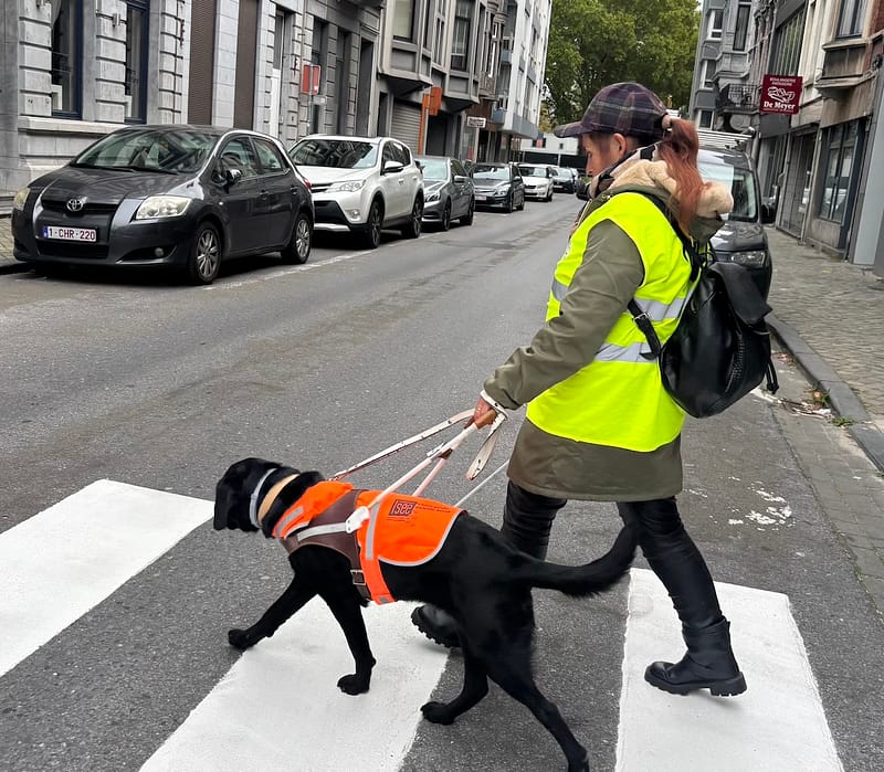 Remise Wiki à Martine - fondation I See