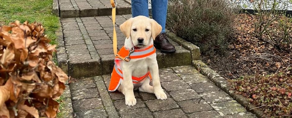 Yumi 10kmUccle - Fondation I see